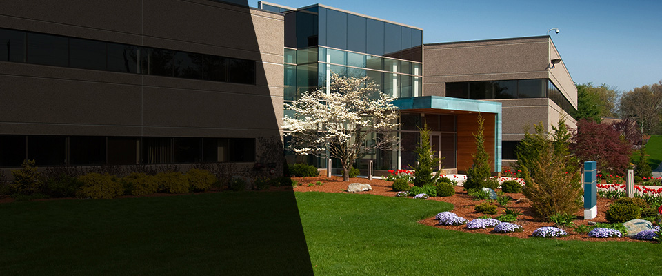 Montgomery City Landscapers